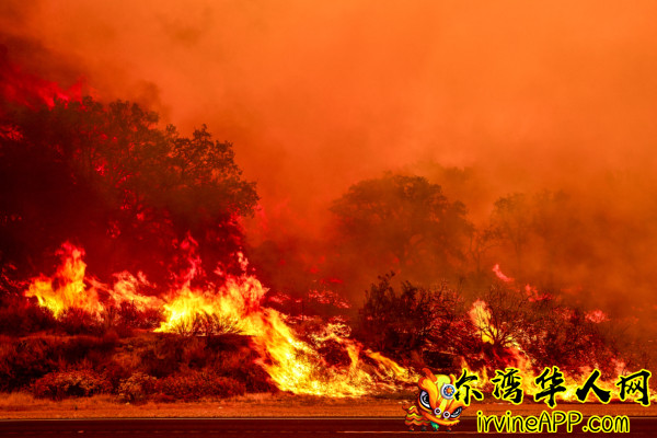id14567248-GettyImages-2227748326-600x400.jpg
